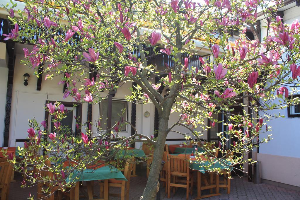 Pension Tip-Top Târgu-Mureş Exterior foto